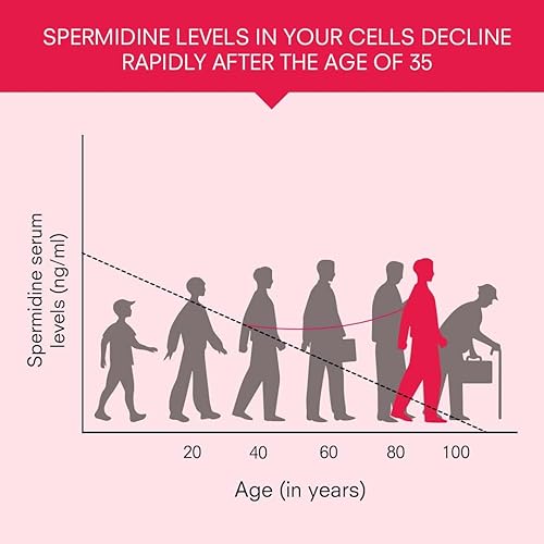 Miniatura 8 de Suplemento avanzado de regeneración celular, suplemento de reparación de células madre y ADN con espermidina, curcumina, extracto de astrágalo y