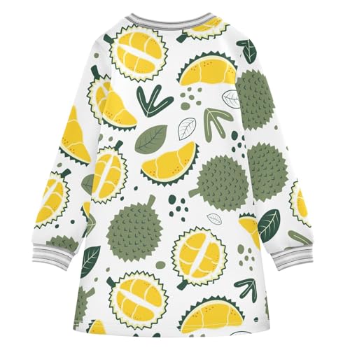 Durian and Leaf Girls Dresses Long Sleeve Sweatshirt Dress for Girls Winter Toddler Casual A Line Dresses Size 2-8T2