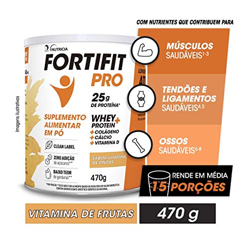 Fortifit Pro Suplemento Vitamina de Frutas, Danone Nutricia, Suplementos Whey Protein, 470g