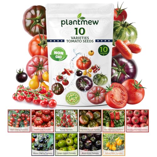 PLANTMEW 10 Heirloom Tomato Seeds - Open Pollinated Seeds for Planting Home Garden - Beefsteak,...