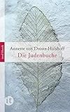  Die Judenbuche: Ein Sittengemälde aus dem gebirgichten Westfalen (insel taschenbuch)