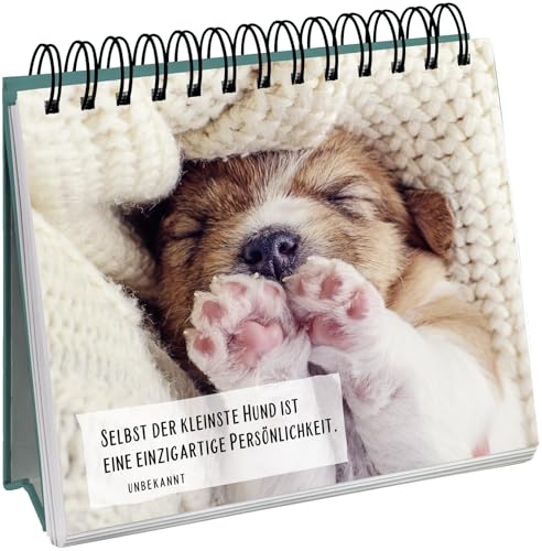 Für Hundefreunde: Rührende Hundefotos und bewegende Zitate über den besten Freund des Menschen | Schönes Geschenk für Hundebesitzer (Geschenke für Hundeliebhaber)