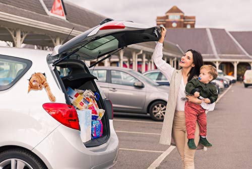 Winston & Bear 3D Cat Stickers - 2 Pack - Reaching Ginger Decals For Wall - Orange Cat Stickers For Car - Fridge - Toilet - Room - Retail Packaged Orange Cat Gift #TOP3