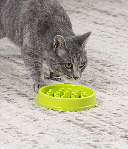 Catstages Kitty Slow Feeder Cat Bowl, Green - Image 3