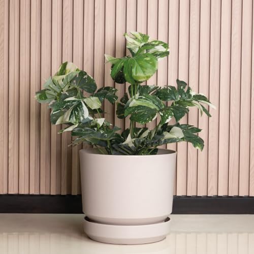 Elly Décor 12 inch Plastic Cylinder Planter Pot with Self-Watering Saucer and Drainage Hole,Lightweight & Extremely Durable, 12'x 12', Ivory