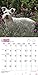Miniature Schnauzers 18-Month 2015 Calendar
