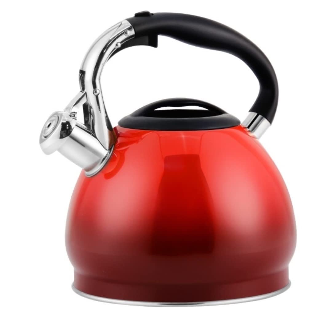 Bouilloire sifflante 3L en inox 304 durable pour design de cuisine