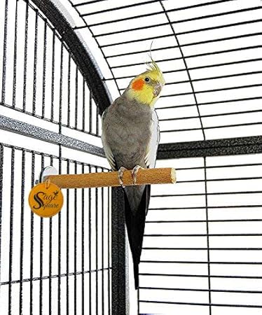 Sage Square 8 Inches / 20 cm Natural Wood Perch/Stand/Toy Ideal for Senegal Parrot, Poicephalus (Light Weight)