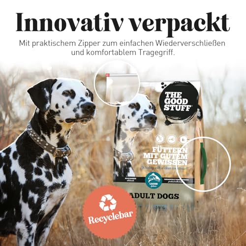 The GOODSTUFF Lachs (Adult) 12,5 kg | Hochwertiges Hundetrockenfutter getreidefrei | Mit frischem Lachs | Hundefutter trocken für ausgewachsene Hunde | Super-Premium Trockenfutter für Hunde