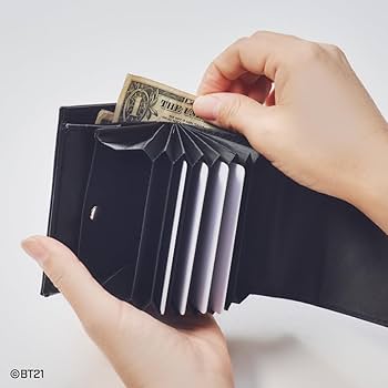 Amazon.co.jp: BT21 サッと使えるミニ財布BOOK (バラエティ) : 宝島社: 本