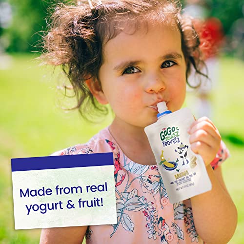 Gogo Squeez Yogurtz Berry, 3 Oz (Pack Of 4), Kids Snacks Made From Real Yogurt And Fruit, Pantry Friendly, No Fridge Needed, Gluten Free And Nut Free, Recloseable Cap, Bpa Free Pouches #TOP5