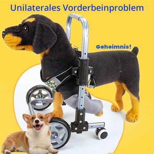 Hunde-Rollstuhl für behinderte Haustiere, volle Unterstützung der Vorderbeine, Mobilitätshilfe, Gehwagen mit verstellbarem Rahmen, für kleine bis mittelgroße Hunde