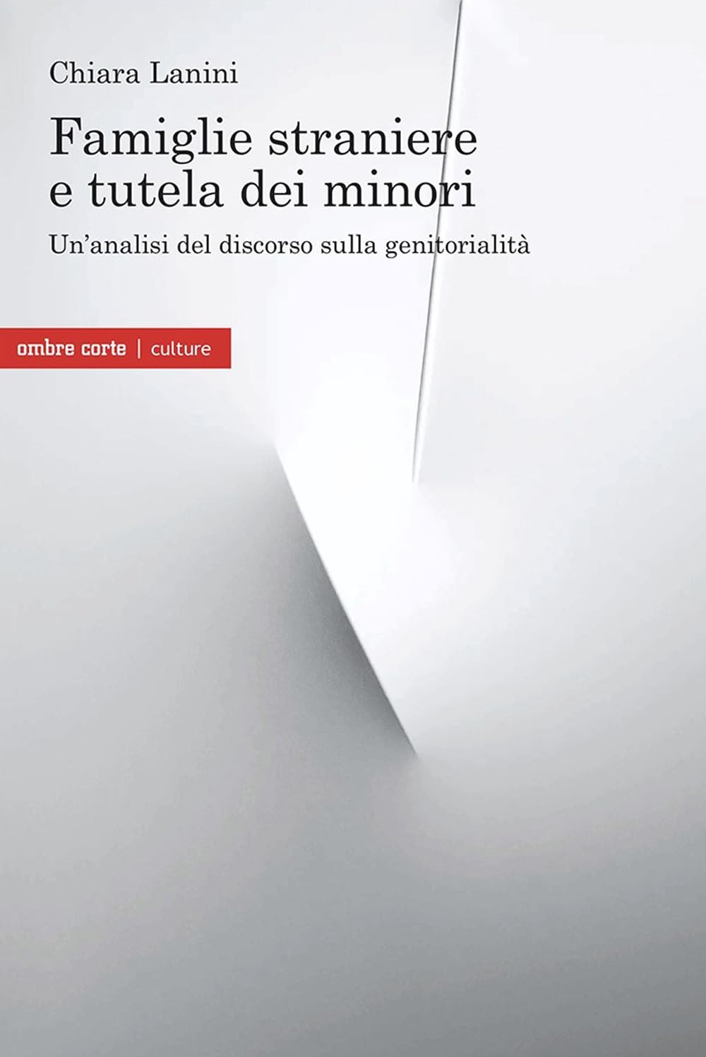 Famiglie Straniere E Tutela Dei Minori. Un'analisi Del Discorso Sulla Genitorialità - 4