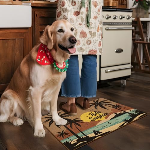 XLDLIOO Beach Hello Sunshine Door Mat, Coastal Summer Doormat, Beach Welcome Front Door Mat Indoor Outdoor Entrance, Boho Beachy Artificial Coir Doormats Rugs for Patio Entry Home Decor, 30x17in - Image 5