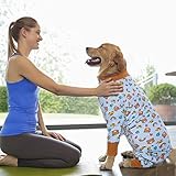 Yeapeeto Einteiler für Hunde, zur Erholung, für große und mittelgroße Hunde, Schlafanzug, Ganzkörper für Haarausfall, Allergien, Anti-Lecken, Wundschutz, Kegel-Alternative (5XL, Bär)