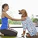 Yeapeeto Einteiler für Hunde, zur Erholung, für große und mittelgroße Hunde, Schlafanzug, Ganzkörper für Haarausfall, Allergien, Anti-Lecken, Wundschutz, Kegel-Alternative (5XL, Bär)