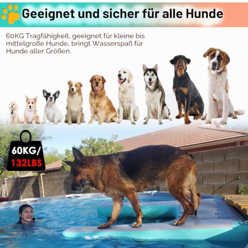 Hundebadeleiter Faltbare Rampen für Hundepools See/ Anlegestelle/ Boot/ Meer schwimmender Hundebadeleiter Rutschfeste EVA-Liegeplattform für Hunde bis 60 kg Einfach aufzublasen und zu entleeren(Blue,1