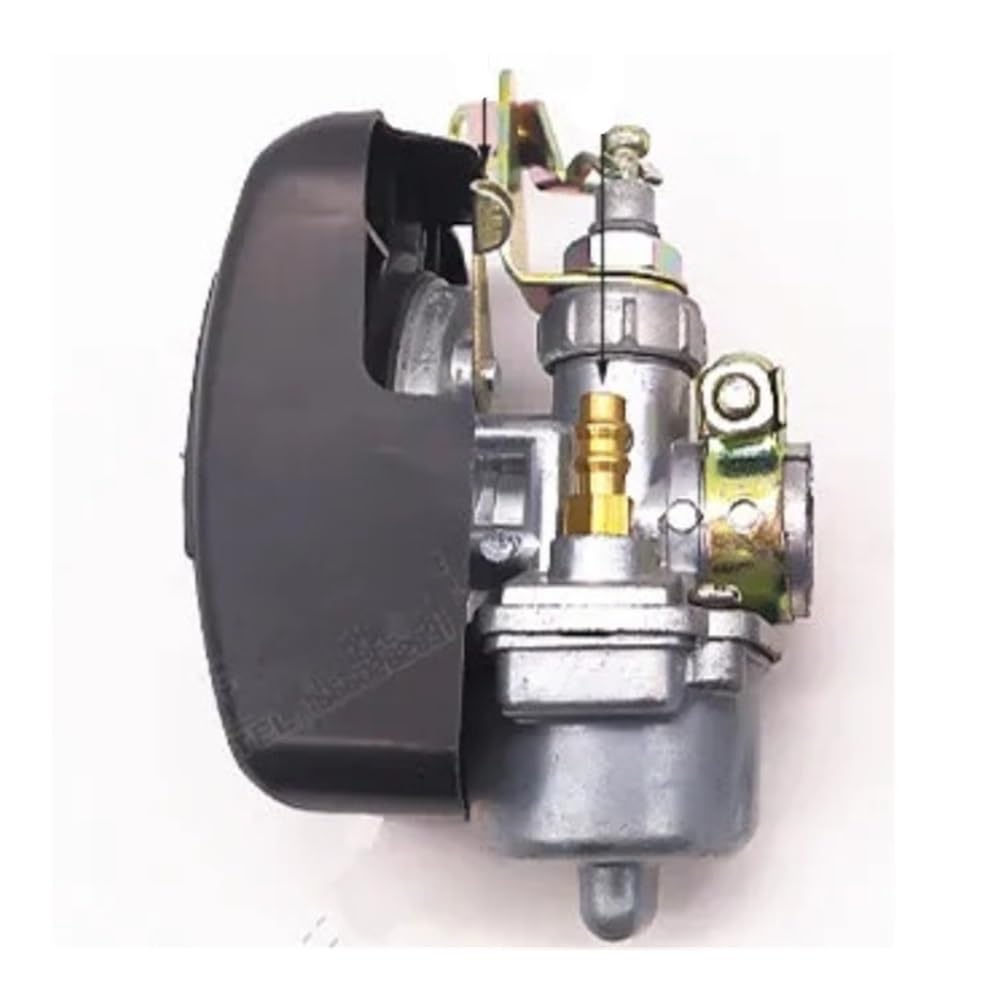 Carburateur 19mm pour réparer les pannes de démarrage de votre pulvérisateur 2 temps PZ11J