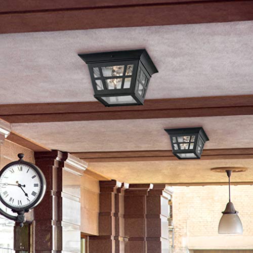 Sea Gull Lighting 78131-12 Herrington Two - Light Outdoor Ceiling Flush Mount Outside Fixture, Black 6.5X10.75X10.75 #TOP1