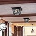 Sea Gull Lighting 78131-12 Herrington Two - Light Outdoor Ceiling Flush Mount Outside Fixture, Black 6.5x10.75x10.75