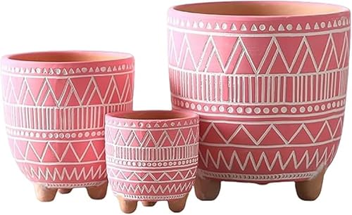 Scifimp�Ԃ����y���f�Ă����Z���~�b�N�A�ؔ� INS �X�^�C���V���v���������f�U�C�� �ʋC�����ɗD�� �ϗt�A���v�����^�[ ������C���e���A���p ���蕨�ɓK�����z�[���K�[�f���p�i