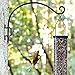 Qiang Ni Swivel Plant Hanger - 16 Inch 60 lbs Capacity Anti-Rust Metal Wall Mount Hook with Mounting Screws - for Indoor Outdoor Hanging Bird Feeders, Flower Baskets, Wind Chimes, Lanterns