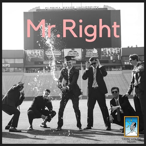 Mr. Right cover art