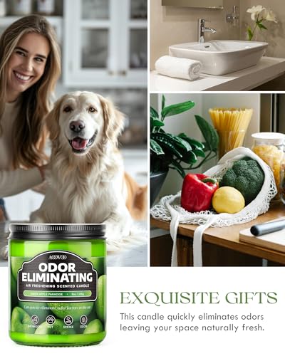 Image of AOOVOO Green Apple 2 Pack Odor Eliminating Highly Fragranced Candle - Eliminates 95% of Pet, Smoke, Food, and Other Smells Quickly, Air Freshing Soy Candle, Up to 100 Hours Burn time