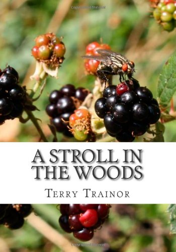 A stroll in the Woods: A summer Meadow: Volume 1
