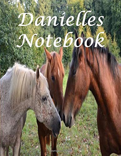 Danielle's Notebook