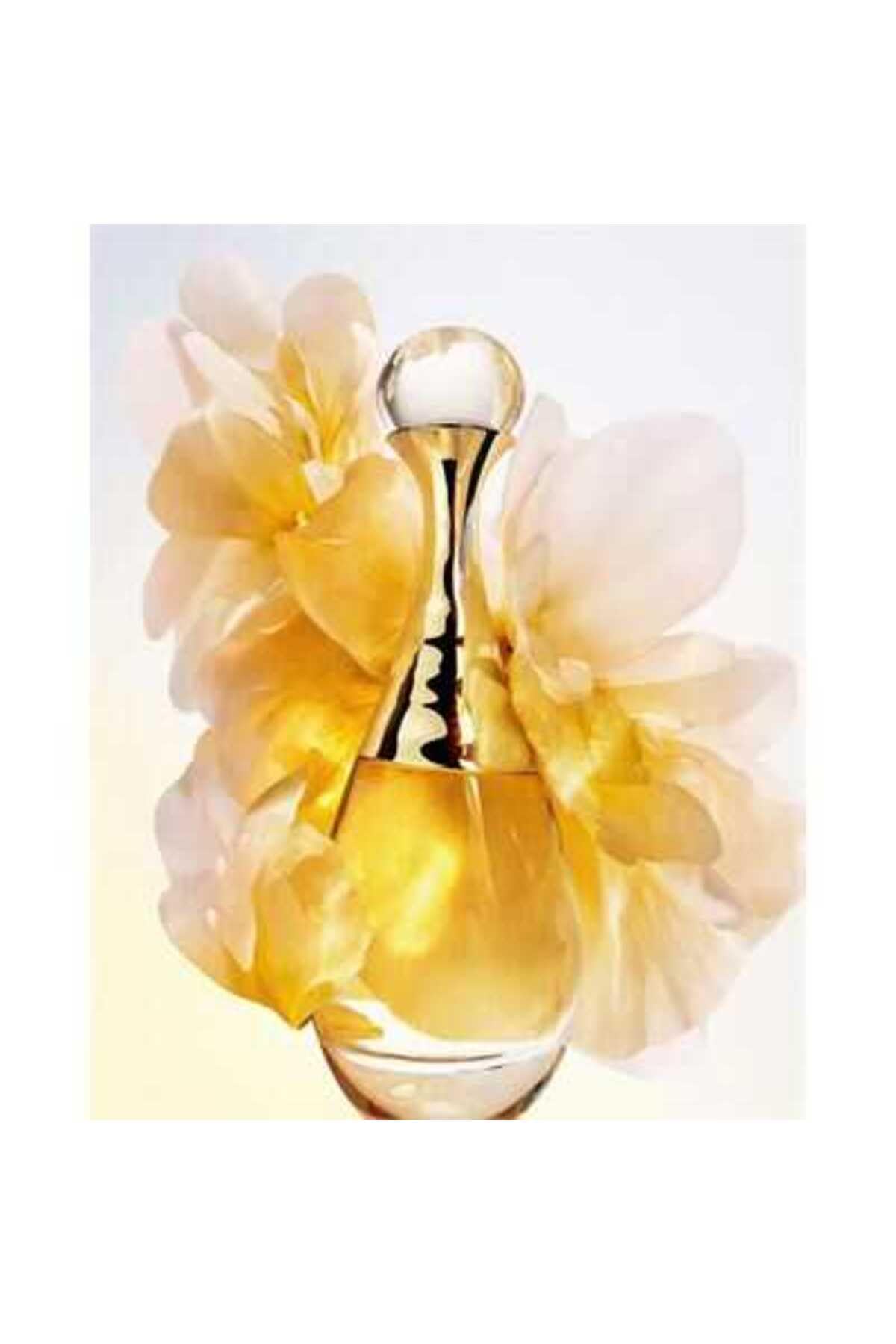 DIOR J'adore L'Or Essence de Parfum 50 ml : Amazon.co.uk: Beauty