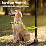 Kpuplol LED-Hundeleine für nächtliche Spaziergänge, wiederaufladbar, wiederaufladbar, reflektierend, leuchtet im Dunkeln, mit gepolstertem Griff, Sicherheits-Leine für kleine, mittelgroße und große