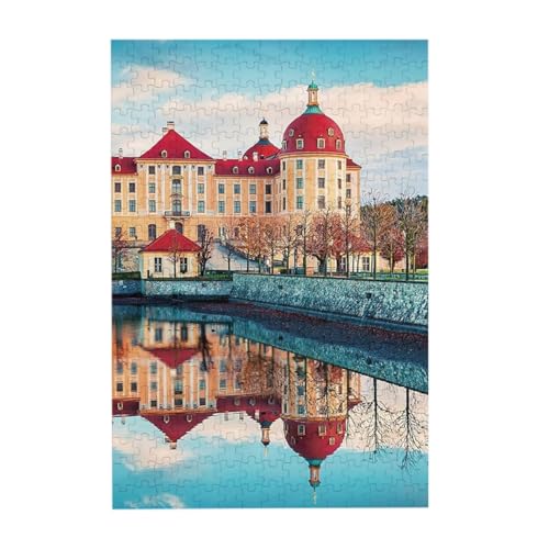 WO\[pY H̃[bcuN(hCc) 300s[X ؐpY ]`W DiỷƂ̑ ʃv[g yV sN`ApY 蕨 a LO j NX}X 300pcs