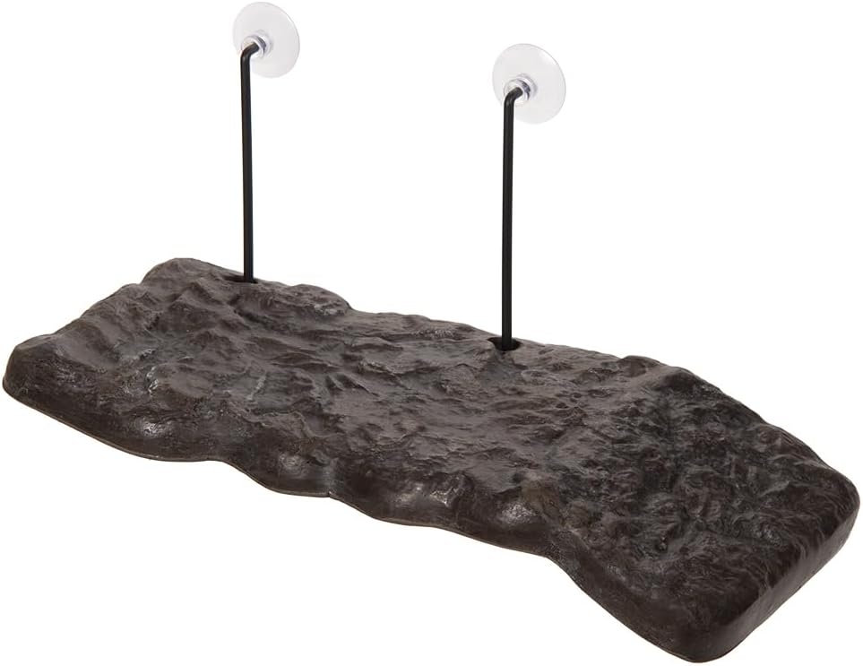 zoomed Zoo Med TL-36 Turtle Dock, Medium