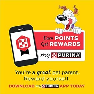   Purina-Beggin-Strips-With-Real-Meat-Dog-Treats-With-Bacon-and-Peanut-Butter-Flavor-Pack-of-2-26-oz-Pouches