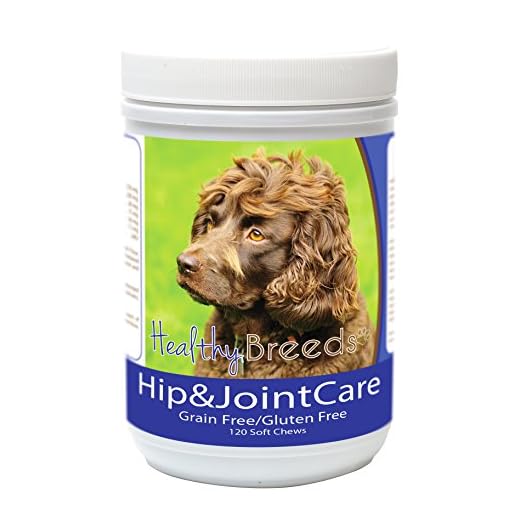 Healthy Breeds Boykin Spaniel Hip and Joint Care 120 Count