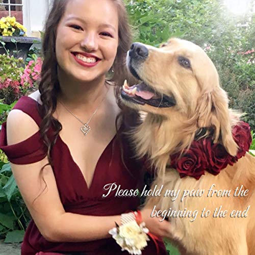 EUDORA 925 Sterling Silver Necklace Cute Dog Paws with Bone, Heart Shape Pendant 18", Gift for Dog Owner4