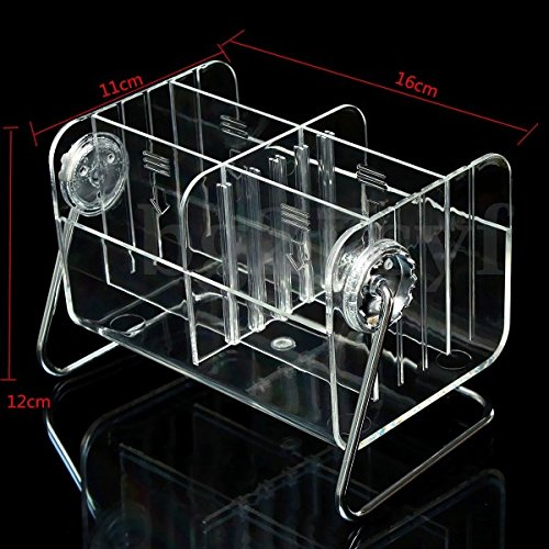 MURTISIDDH Desire Acrylic Desktop Remote Control Holder 2