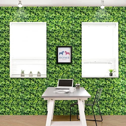 Image of JAAMSO ROYALS Green Grass Design Bedroom Hall Living Room Decor Wallpaper (200 CM X 45 CM)