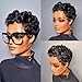 VRZ Short Curly Pixie Cut Human Hair Wigs for Black Women Pixie Cut Wig Human Hair Glueless Layered Brazilian Virgin Black Color No Glue Wig for Daily Use