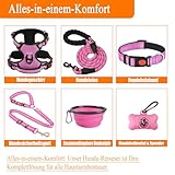 LOBEVE Anti-Zug Hundegeschirr Set mit Halsband & Leine | Inkl. Auto Sicherheitsgurt, Faltbare Näpfe & Kotbeutelspender | Für kleine bis große Hunde | Ideal für Spaziergänge, Training & Reisen