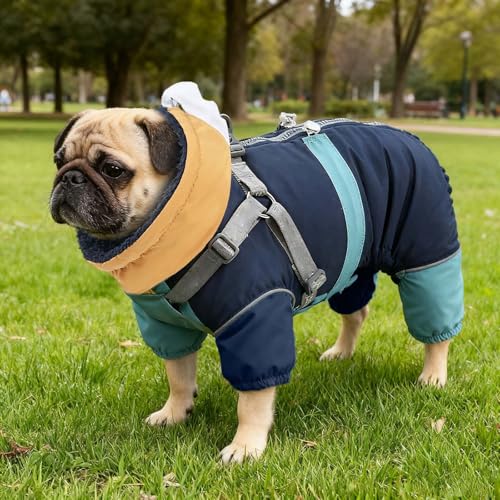 Hunde Wintermantel Winter-Schneeanzug mit Geschirr, Warmer, mit Fleece gefütterter Overall,Vierbeinmantel für kleine, mittelgroße und große Hunde, Kleidung für kaltes Wetter verstellbarem (Blue, M)