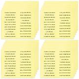 HINZIC 420 PCS Makeup Brush Label Stickers, 10 Sheets Self-Adhesive Waterproof Brush Name Labels, Foundation Brushes Beauty Organization Labels for Beauty Salon Personal Use Women Girls