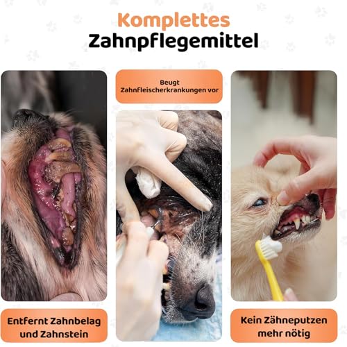 Plaque Off Pulver für Hunde 500g | Natürliche Zahnreinigung | Zahnstein Entferner & Atem Erfrischer | 100% Natürlich | DogsLife