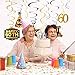 60th Birthday Decorations for Men Cheers to 60 Years Banner Swirls Kit for Women 60th Birthday Party Decorations
