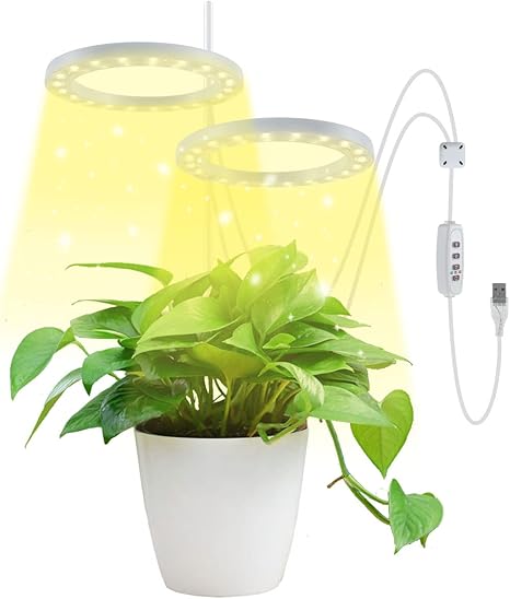 Amazon Co Jp Happyyoo 植物育成ライト Led Usb 植物成長ライト 室内栽培 ライト Led光合成ライト ポール付き 水耕栽培 水草育成 室内用ライト 日照不足解消 植物成長促進 家庭菜園 野菜工場 多肉植物育成 観葉植物 2つのリング 太陽の光 Diy 工具 ガーデン Amazon Co Jp Happyyoo 植物育成ライト Led Usb 植物成長ライト 室内栽培 ライト Led光合成ライト ポール付き 水耕栽培 水草育成 室内用ライト 日照不足解消 植物成長促進 家庭菜園 野菜工場 多肉植物育成 観葉植物 2つのリング 太陽の光 Diy 工具 ガーデン