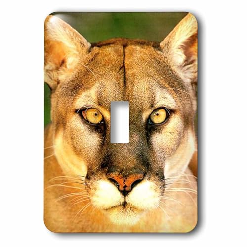 Panther interruptor de palanca 3dRose lsp_710_1 para pared 2