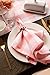DII Buffalo Check Collection, Classic Farmhouse Cloth Napkin Set, 20x20, Pink & White, 6 Piece