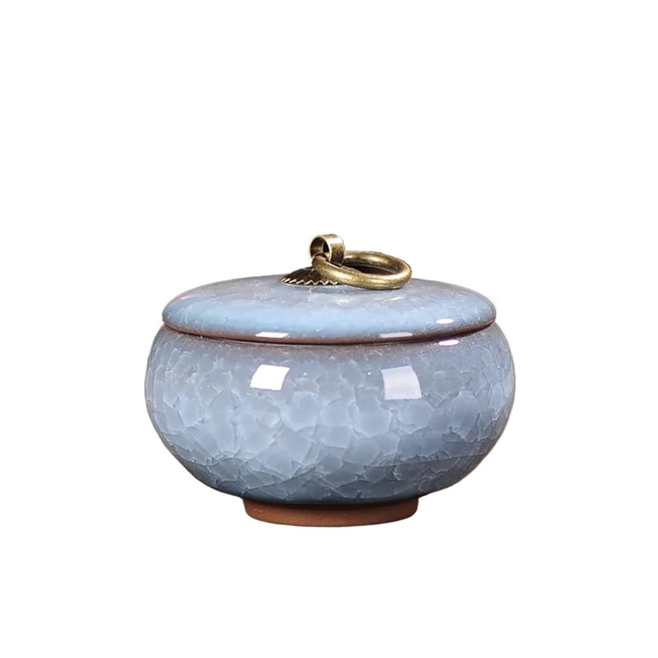 LPATEBCVU Ceramic Tea Caddy Tea Coffee Sugar Storage Jar Mini Ceramic Kitchen Bottles & Jars Containers Home Decor