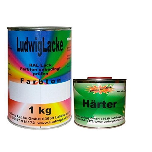 1,5 kg SET GLÄNZEND in Ihrer WUNSCHFARBE incl. 0,5 ltr. Härter